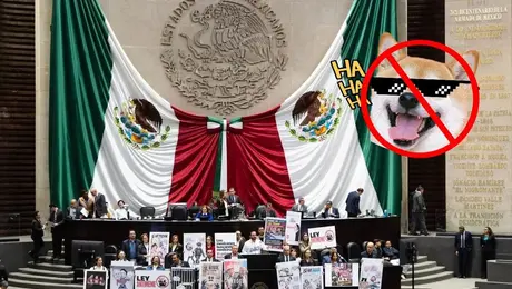 ¿Adiós a la piratería en México? Diputados aprueban reformas y abren debate por los memes