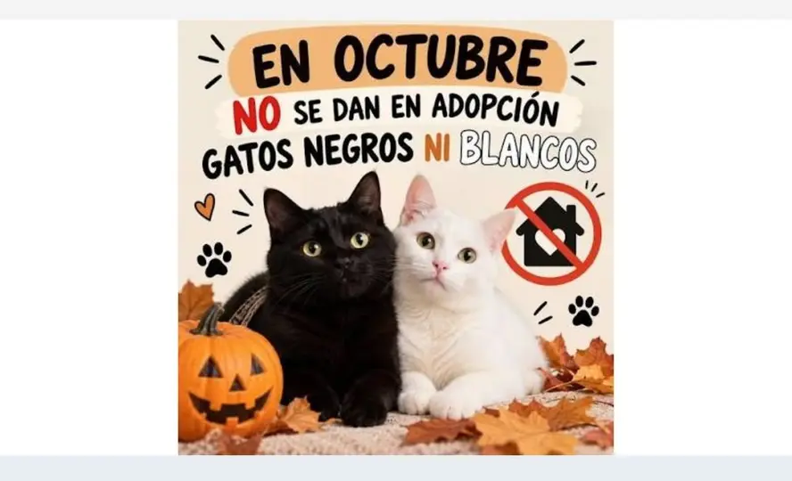 Los animales de pelaje negro o blanco pueden enfrentar riesgos de sustracción durante esta temporada./especial
