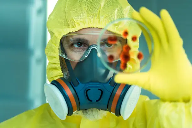 El virus Shamonda fue descubierto en Nigeria durante la década de 1960 y desde entonces se había detectado principalmente en animales de África y Asia./ Pixabay