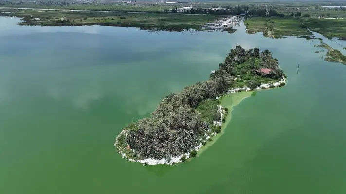 Lago de Texcoco es declarado por la Unesco sitio de Ecohidrología ¡Te contamos el por qué!