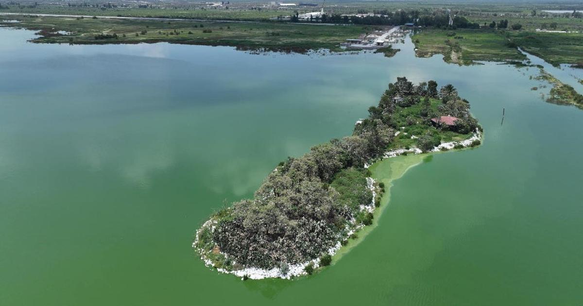 Lago de Texcoco es declarado por la Unesco sitio de Ecohidrología ¡Te ...