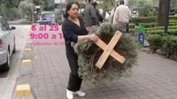 ¡Recicla tu árbol de Navidad! Lista de acopio en CDMX y Estado de México