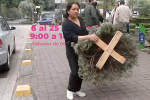 ¡Recicla tu árbol de Navidad! Lista de acopio en CDMX y Estado de México