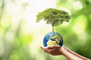 22 de diciembre, Día de la Tierra: ¿Cuándo, dónde y por qué se fundó?