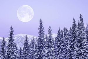 Luna de Nieve 2026: ¿Cuándo es, qué significa y qué sucederá?