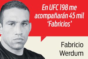 Todos somos Werdum
