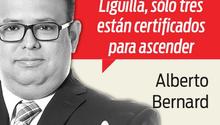 Un sueño y 11 aspirantes