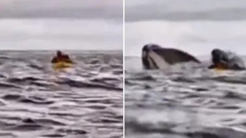 VIDEO: Ballena se traga a joven como en 'Moby Dick'