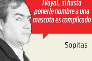 Los nombres más curiosos de estadios