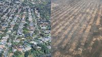 VIDEO: Antes y después de los incendios en Los Ángeles, California