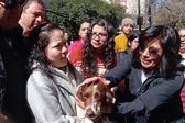 Veterinaria clandestina ubicada en la Condesa secuestra a perrito