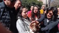 Veterinaria clandestina ubicada en la Condesa secuestra a perrito