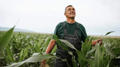 Cabañuelas 2025: ¿Qué nos depara agosto según este método de predicción climática?