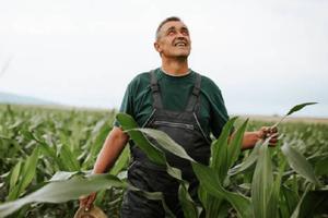Cabañuelas 2025: ¿Qué nos depara agosto según este método de predicción climática?