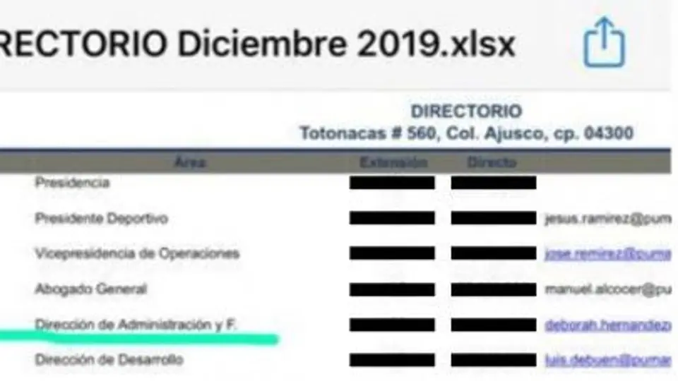 Pumas, patrañas y vergüenza