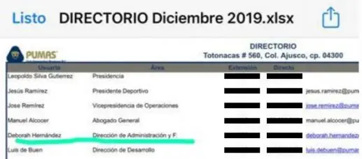 Pumas, patrañas y vergüenza