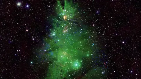 NASA muestra estrellas que forman un árbol de Navidad en el espacio