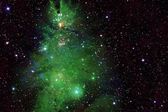 NASA muestra estrellas que forman un árbol de Navidad en el espacio