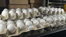 ¡Más de 100 pesos por docena de huevos! En Estados Unidos alcanzan nuevo precio histórico