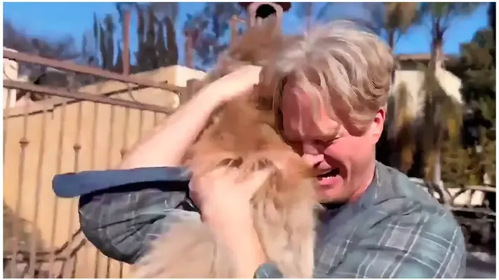 Perrito sobrevive 5 días tras los incendios en California y se reencuentra con su dueño