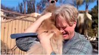 Perrito sobrevive 5 días tras los incendios en California y se reencuentra con su dueño