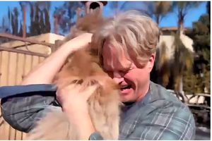 Perrito sobrevive 5 días tras los incendios en California y se reencuentra con su dueño
