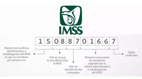 Así puedes sacar tu Número de Seguridad Social por primera vez en 2025