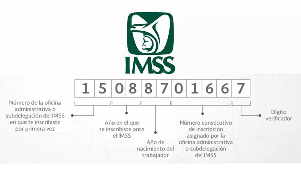 Así puedes sacar tu Número de Seguridad Social por primera vez en 2025