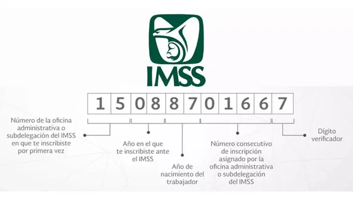 Así puedes sacar tu Número de Seguridad Social por primera vez en 2025