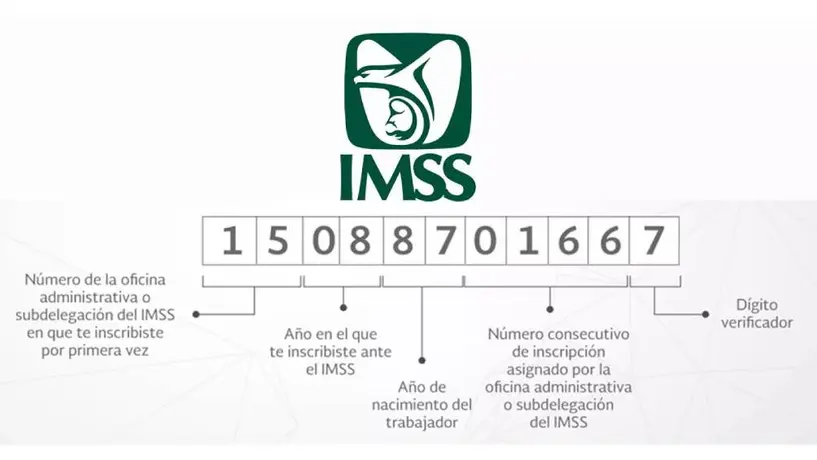 Así puedes sacar tu Número de Seguridad Social por primera vez en 2025