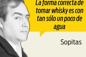 Ésta es la mejor forma de tomar whisky