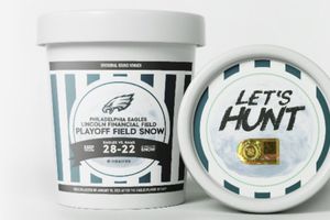 ¡Nueva memorabilia! Philadelphia Eagles vende nieve del campo de juego