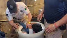 Policías rescatan a menor atrapado en una lavadora en Metepec, EDOMEX