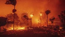 Incendios forestales en Los Ángeles, California obligan a miles de personas a evacuar sus hogares