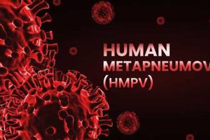 Gobierno de México descarta riesgo por el metapneumovirus
