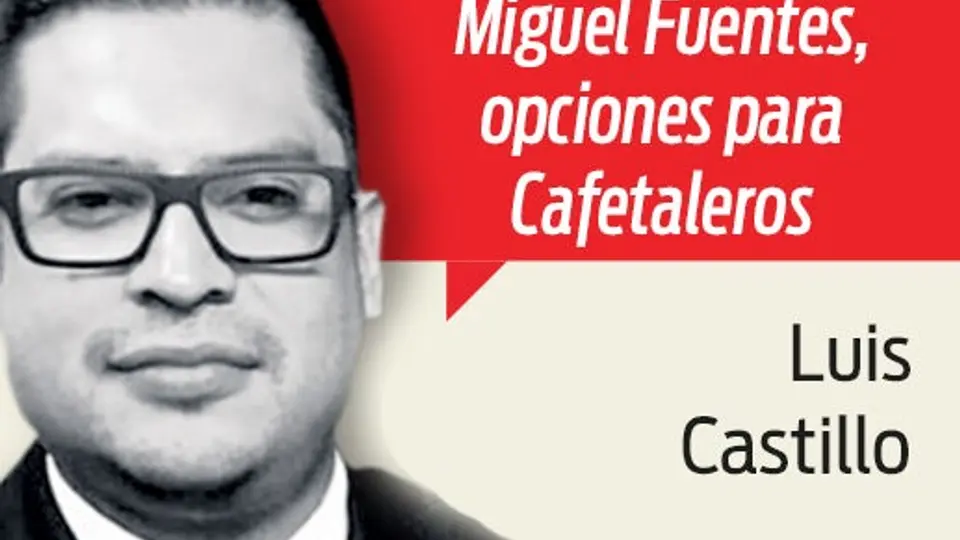 Ya buscan el reemplazo de Camoranesi