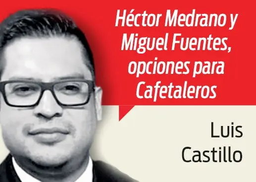 Ya buscan el reemplazo de Camoranesi