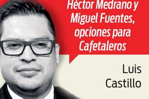 Ya buscan el reemplazo de Camoranesi