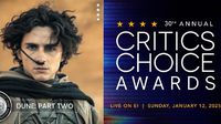 Critics Choice Awards 2025: Premiación se pospone por incendios en California