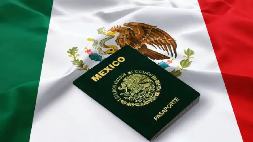 Verifica que el sitio termine en “.gob.mx” antes de ingresar tus datos personales. /  Pixabay