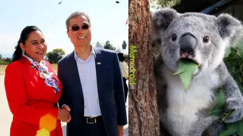 VIDEO: Senadora de Morena dice que Taiwán es parte de México y se vuelve viral
