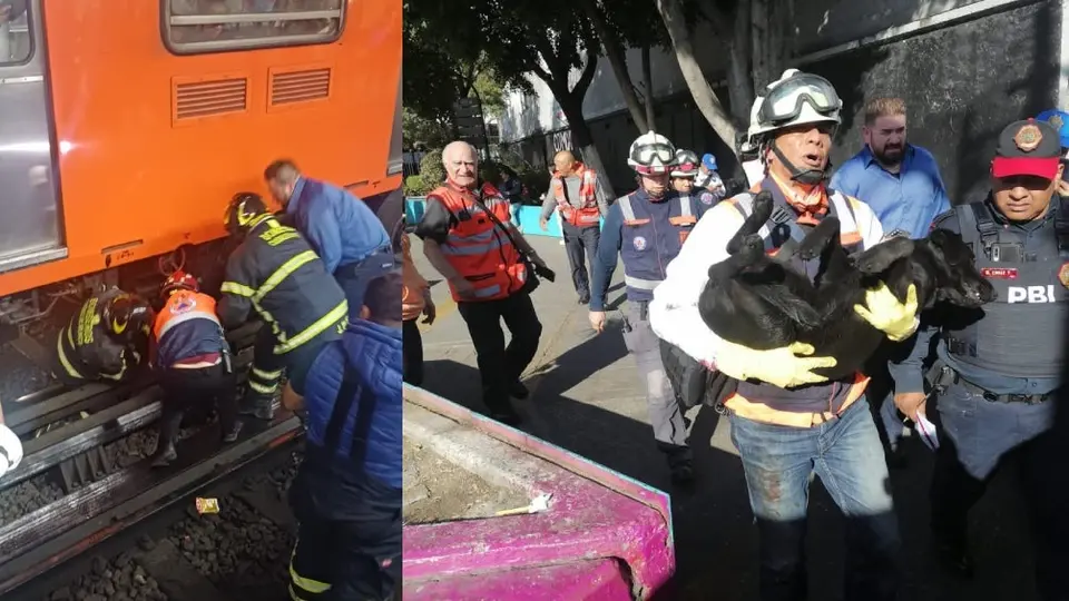Rescatan a perrito de las vías del metro de la Ciudad de México