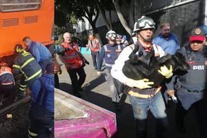 Rescatan a perrito de las vías del metro de la Ciudad de México