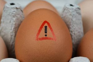 ¡Alerta! Canadá retira 6 marcas de huevos del mercado por riesgo de salmonela