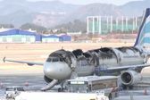 Avión se quema por completo en Corea del Sur: ¿Qué pasó con los pasajeros?