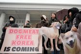 Corea del Sur prohibirá el consumo de carne de perro