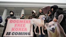Corea del Sur prohibirá el consumo de carne de perro