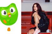 Dua Lipa lamenta muerte del búho de Duolingo: “Hasta que la muerte nos separe”