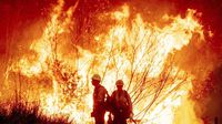 Incendios en Los Ángeles: Brigada mexicana extingue ocho focos de calor