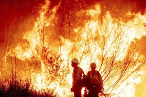 Incendios en Los Ángeles: Brigada mexicana extingue ocho focos de calor